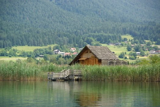 Pressegger See Schilfguertel