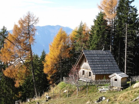 Kleinod – Bergchalet auf der Millstätteralm in Österreich