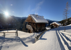 Ein riesen Plus der Hütte ist das separate Badezimmer mit großer Dusche.