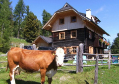 Die Hütte selbst ist sehr komfortabel und liebevoll eingerichtet.