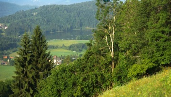 Seewohnung für den Sommerurlaub buchen