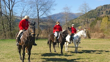 Reiturlaub in Kärnten - Entdecken Sie die Natur auf den Rücken der Pferde