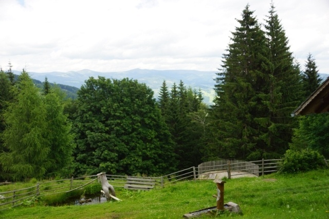 Hütte mit Hund-Weitblick PBF00198