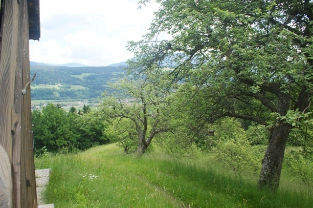 Ferienhaus auf dem Bauernhof- Landschaft PMP00199