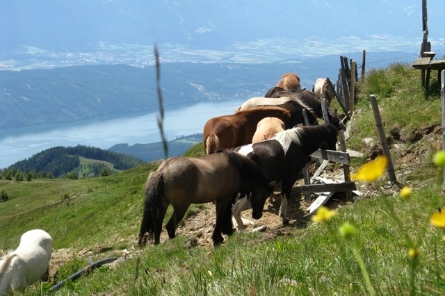 Urige Hütte mieten-Landschaft POH00146