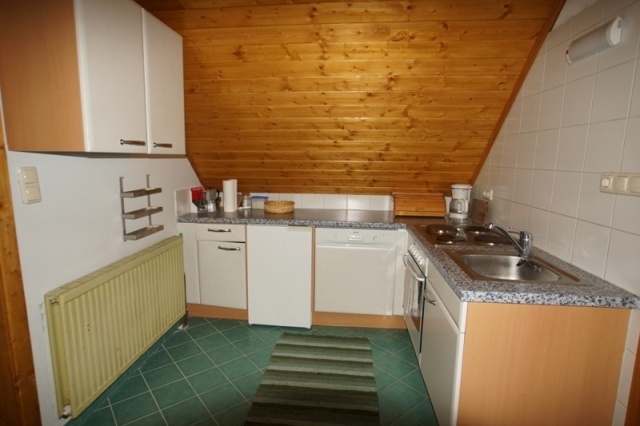 Hütte mit Hund-Kochen PBF00198